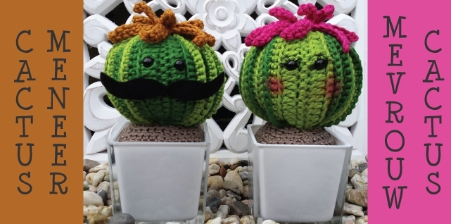 meneer en mevrouw Cactus