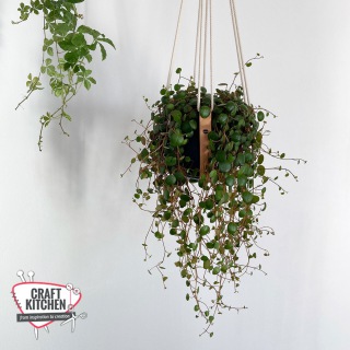 Leren Plantenhanger