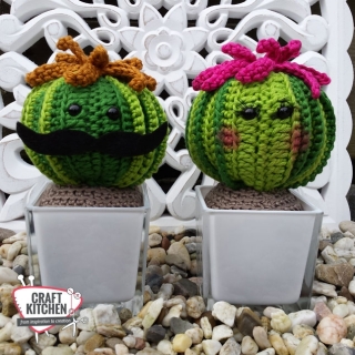 meneer-en-mevrouw-cactus