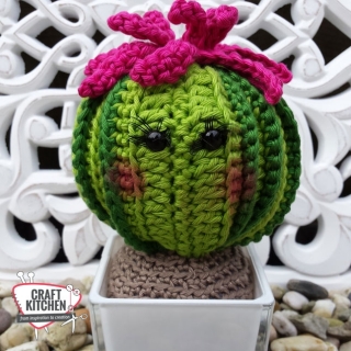 meneer-en-mevrouw-cactus