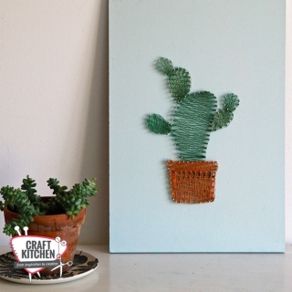 Stekelige Cactus